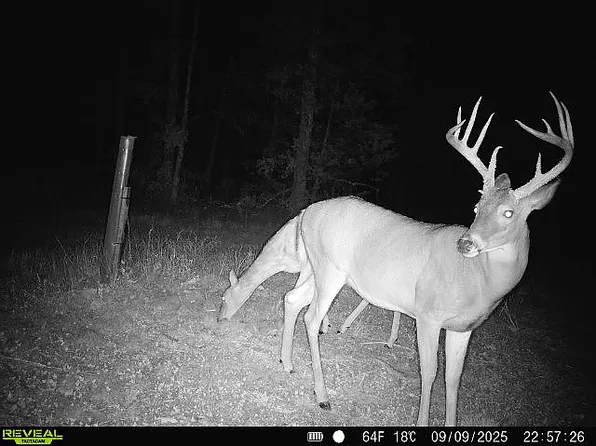 22019 Highway K, Falcon, MO 65470