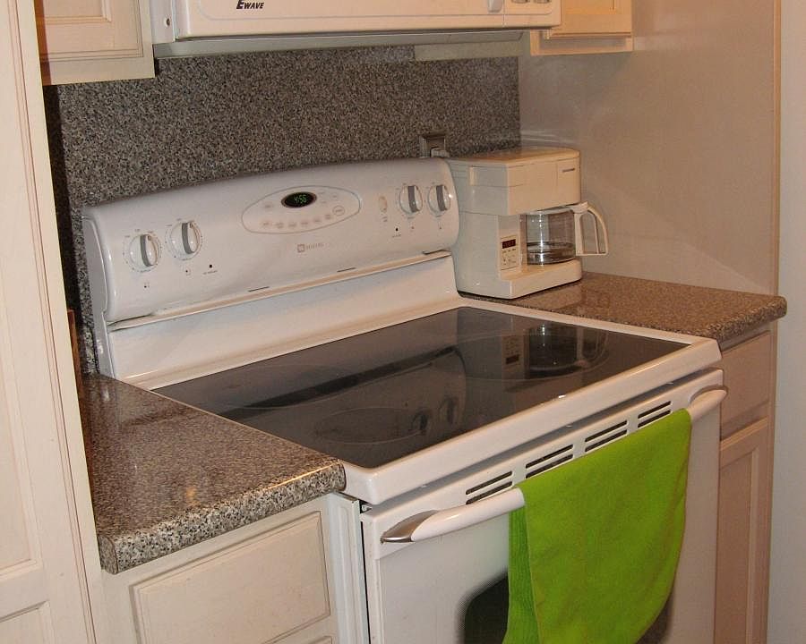 Electric oven and microwave