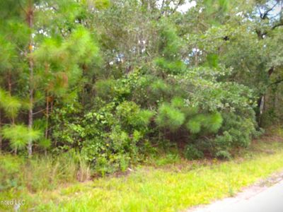 10018 Peach Tree Dr, Bay Saint Louis, MS, 39520