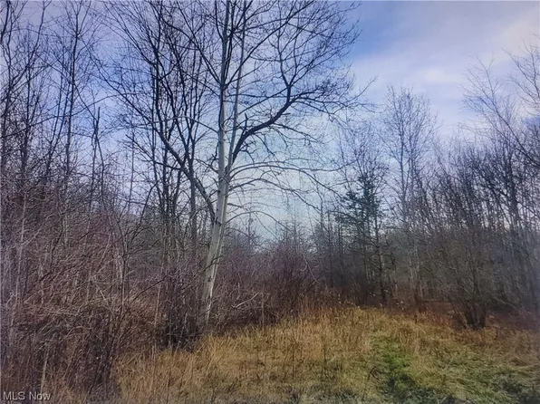 2242 State Route 46 S, Jefferson, OH 44047