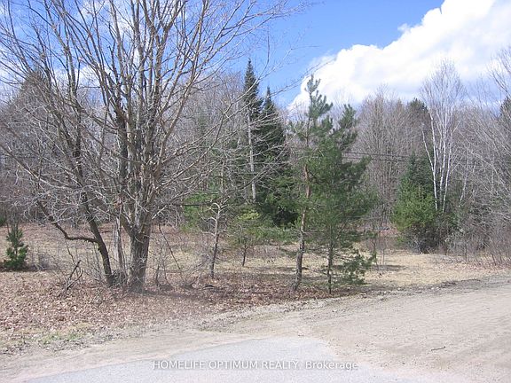 2nd image of Norley Dr