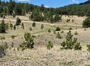 744 Julia Rd, Guffey, CO 80820