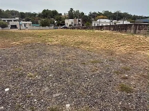 Carr 637 Bo Miraflores Sector Biafara, Arecibo, PR 00612