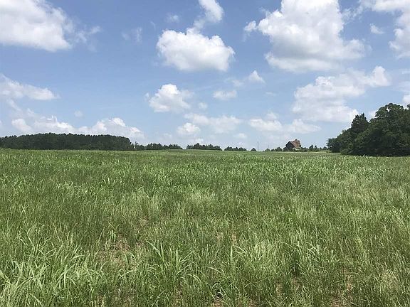 5th image of 2395 Bowman Hwy