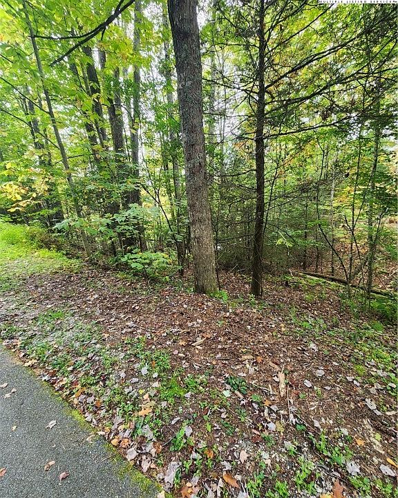 2nd image of 72 Sourwood Knoll