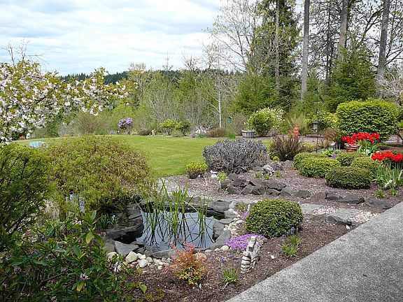Backyard Pond & Flower Beds