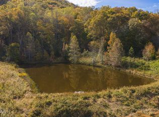 684 Panther Rd, Blackwater, VA 24221