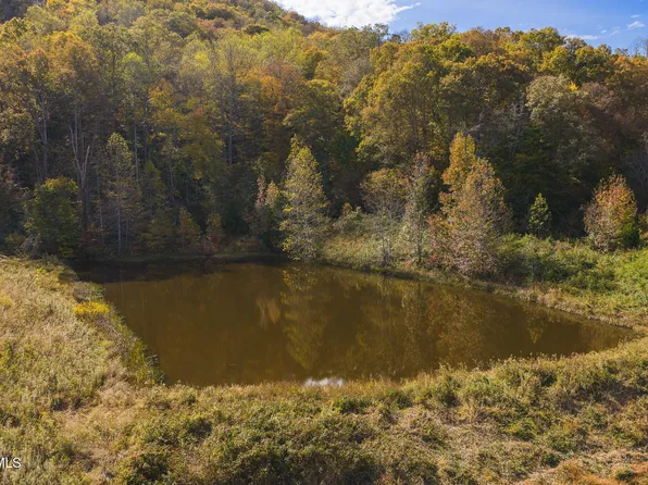 684 Panther Rd, Blackwater, VA 24221