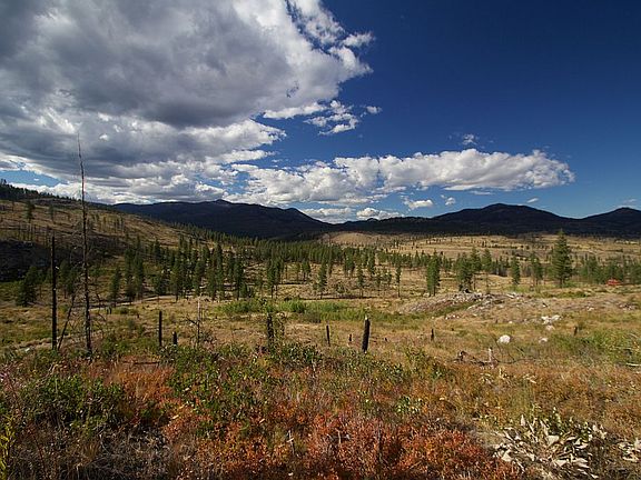 View across part of property
