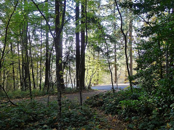 2nd image of 18216 NE 125th Way