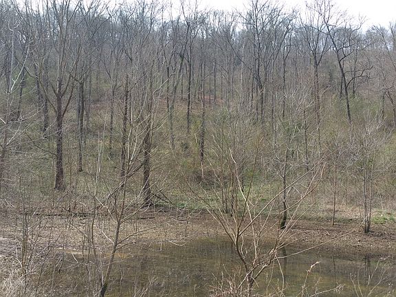 5th image of Eagle Nest Ct