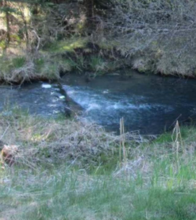 2nd image of 128 Falcon Ridge Rd