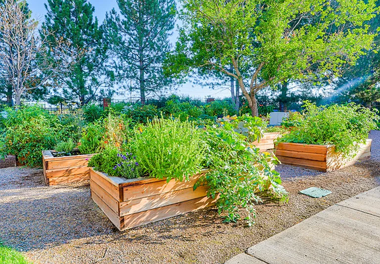 Community Gardens
