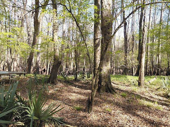 3rd image of 2 & 3 Gator Cv