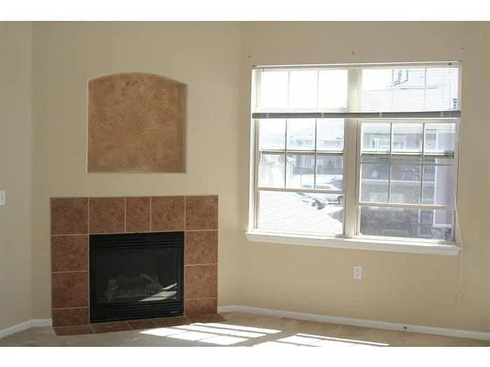 Family Room Fireplace - 10751 Twenty Mile Rd #208