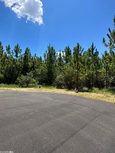 0 Hampton Ridge Ct Lot 35, Mobile, AL, 36608