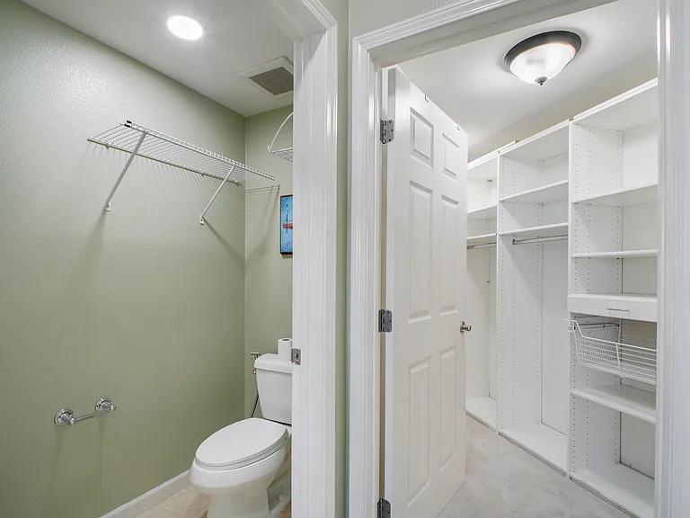 49002 Cinnamon Fern Cmn #402 — Photo 18