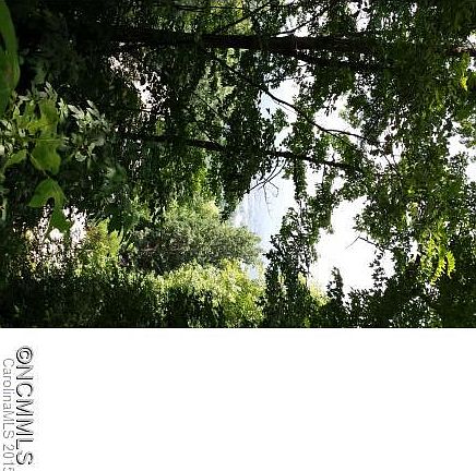 3rd image of 14 Parkway View Ln