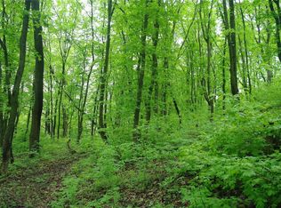 18945 Hardt Rd, Glencoe, MO 63038