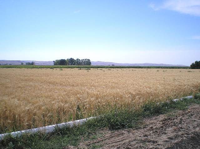 2nd image of Tbd Krause Road Lots 3