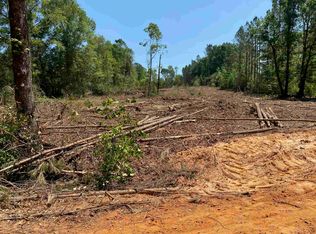 0 Beck Bridge Rd, Westville, FL 32464