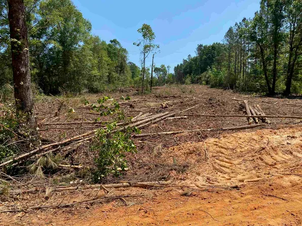 0 Beck Bridge Rd, Westville, FL 32464