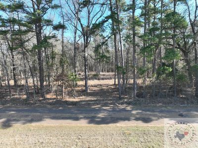 County Road 1599, Avinger, TX, 75630