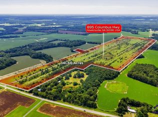 895 Columbus Hwy, Hawkinsville, GA 31036