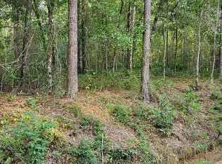 Joe Hester Rd, Hazlehurst, GA 31539