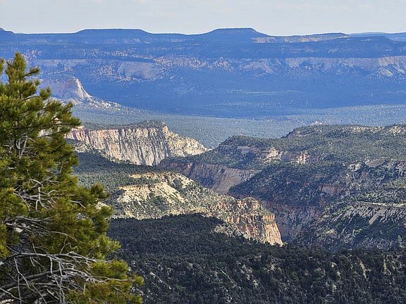 5th image of Zions Bluff County Road 2090