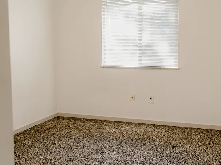 3815 Maple Ave — Photo 19