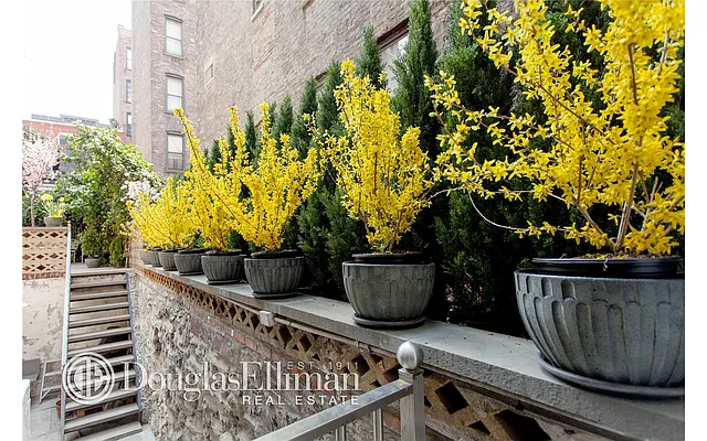 Rented by Douglas Elliman | media 18