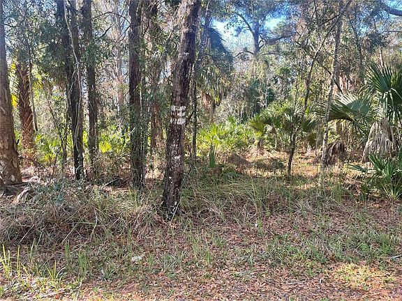 4th image of 1120 NE 3RD STREET LOT 10