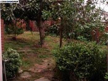 3rd image of 5363 Coco Palm Dr