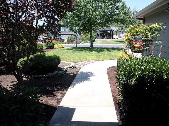 View from Front Door