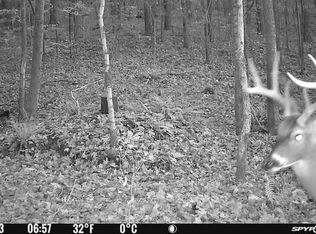 0 New Hope Rd, Five Points, TN 38457