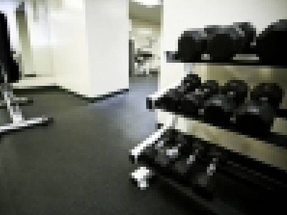 Free Weights