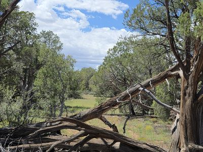 51 Rising Rock Rd, Ash Fork, AZ, 86320