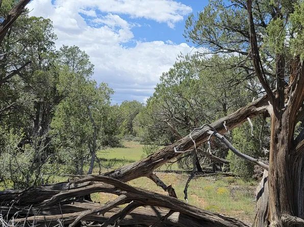 51 Rising Rock Rd, Ash Fork, AZ 86320