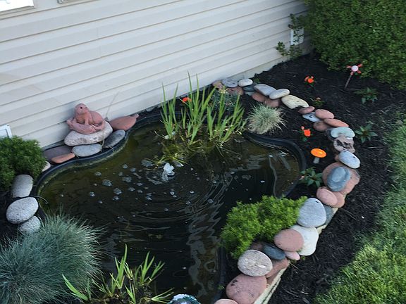 Small pond can hold Koi fish