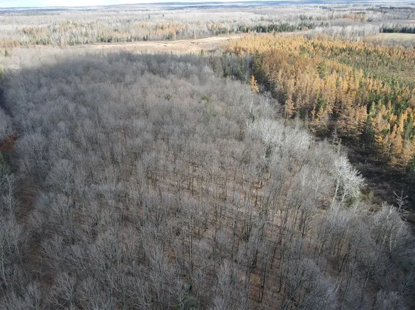 TBD Cemetery Road, Radisson, WI 54867