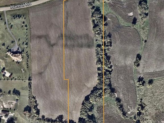 4th image of 1405 Hamel Rd