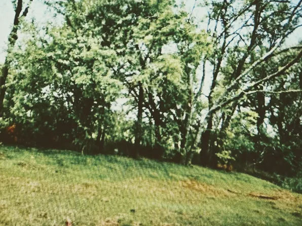 15305 E Hazel Nut St, Wichita, KS 67230