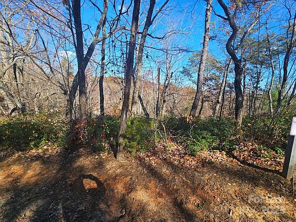 3rd image of 0 Lure Ridge Dr Lot 1