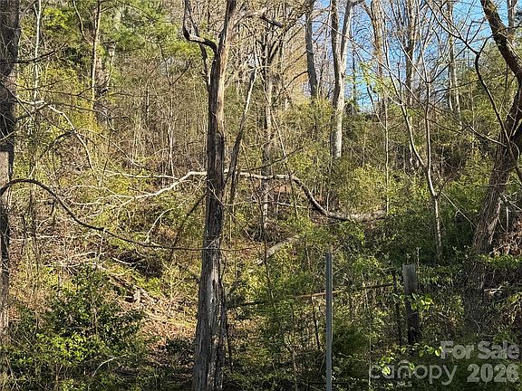 2nd image of 219 Bee Ridge Rd