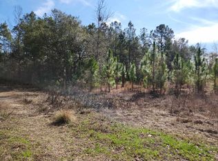 NW Azalea St LOT 25, Bristol, FL 32321