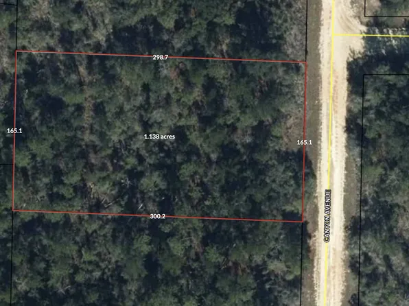 0 Canyon Ave, Alford, FL 32420