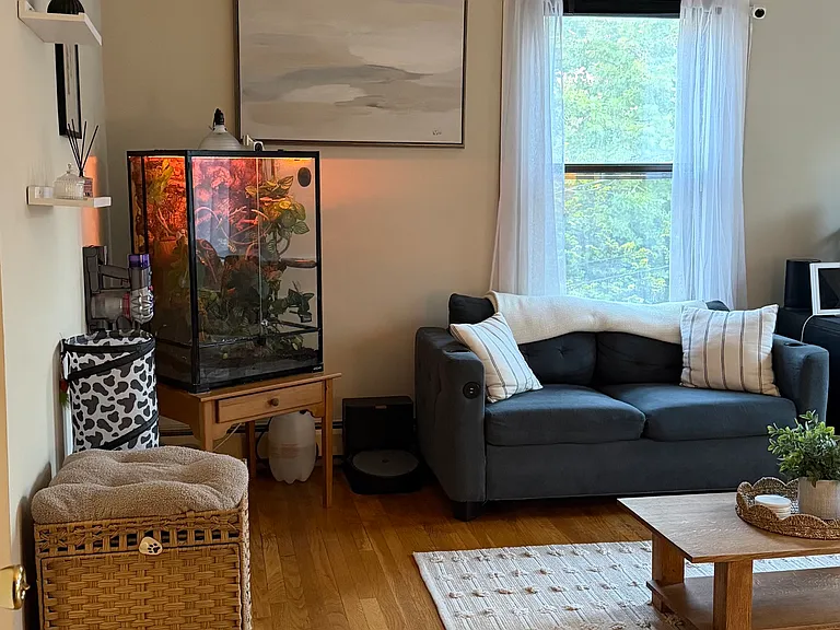 7 Wendell St — Photo 12