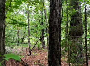 0 Boiling Springs Rd, Soperton, GA 30457