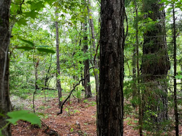 0 Boiling Springs Rd, Soperton, GA 30457